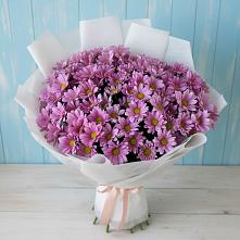 Букет цветов из:  Хризантемы в Железногорске