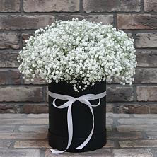 Цветочная композиция из Гипсофила в шляпной коробке в Железногорске